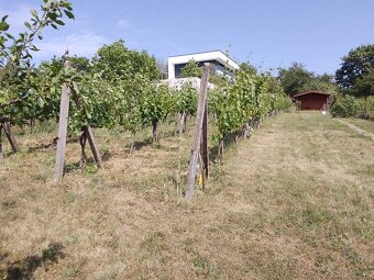 Rekonštruovaný viničný dom vhodný aj ako celoročné bývanie L - 13