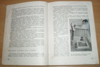 Chov včelích matiek - 13