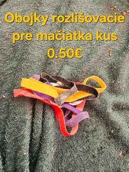 Veci pre psov: - 13