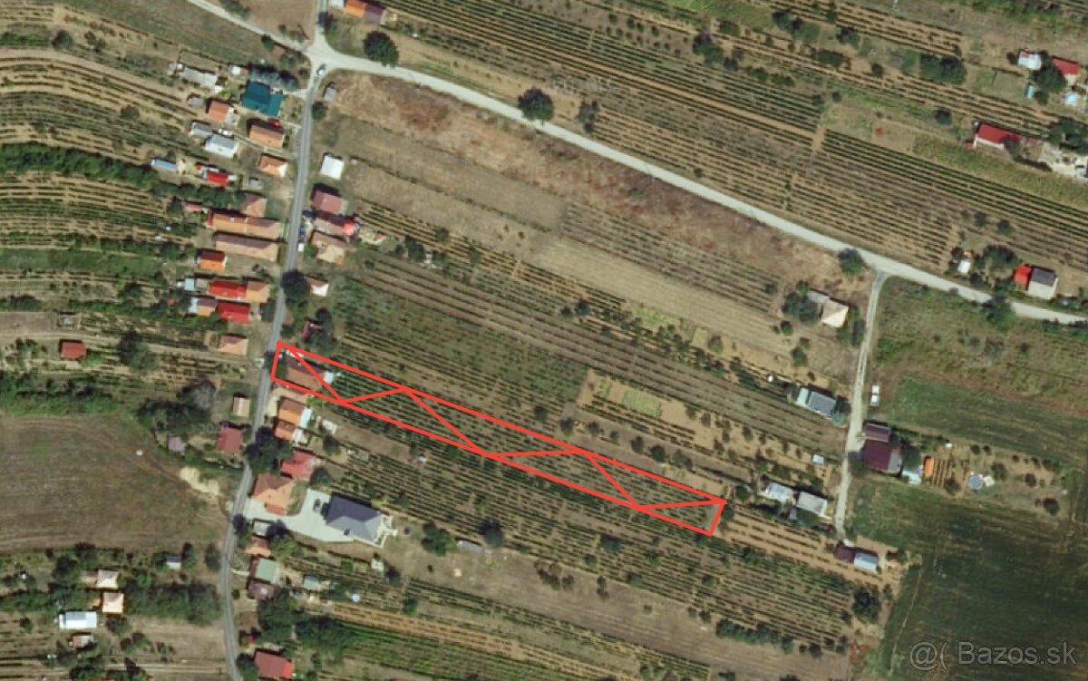 Rekreačný domček s vinicou vo Vrábľoch na predaj - 14