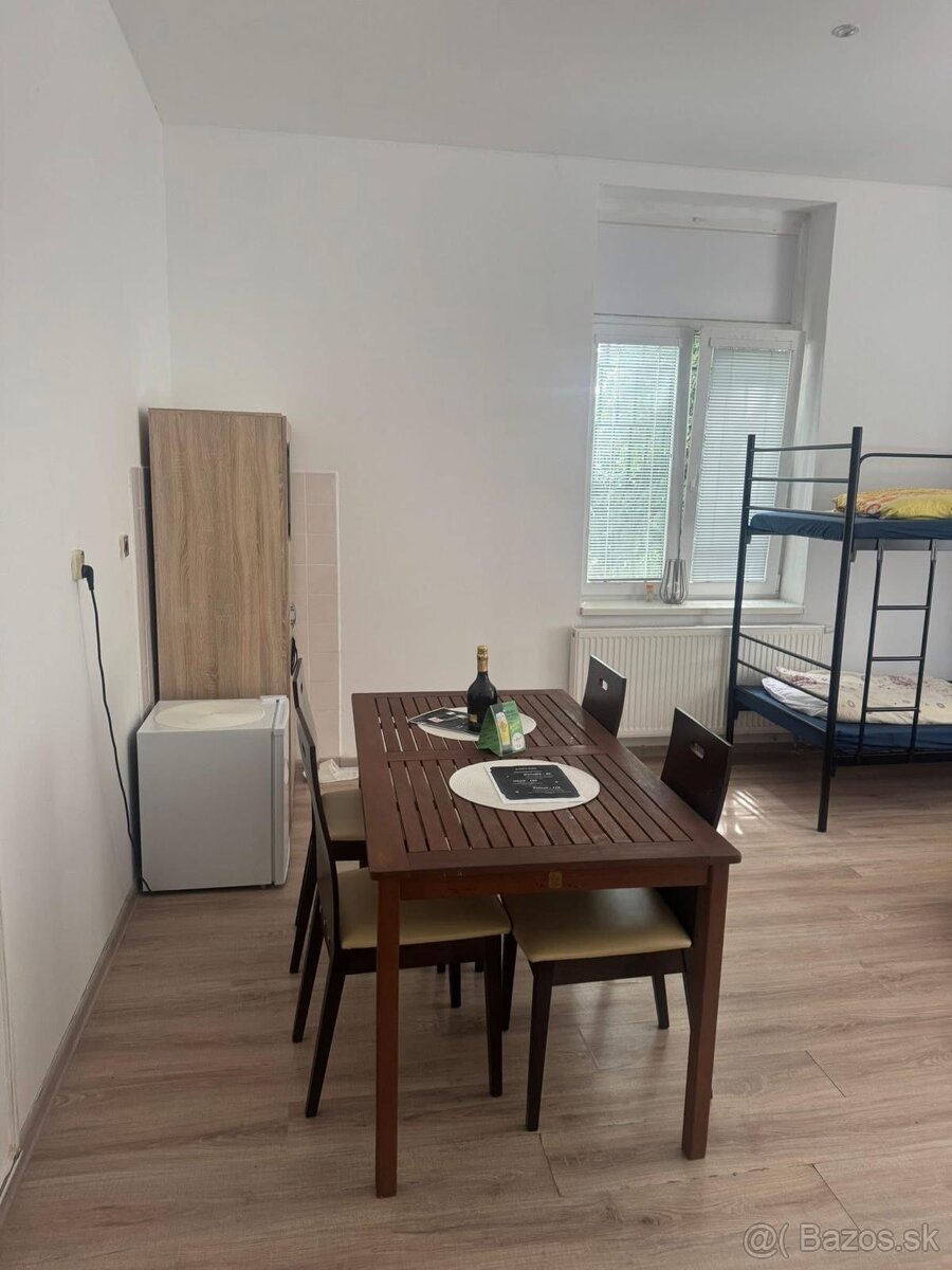 Ubytovanie v apartmánovom dome - 14