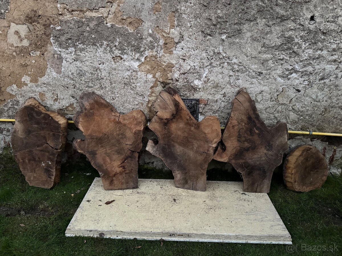 Orechove rezivo - 14