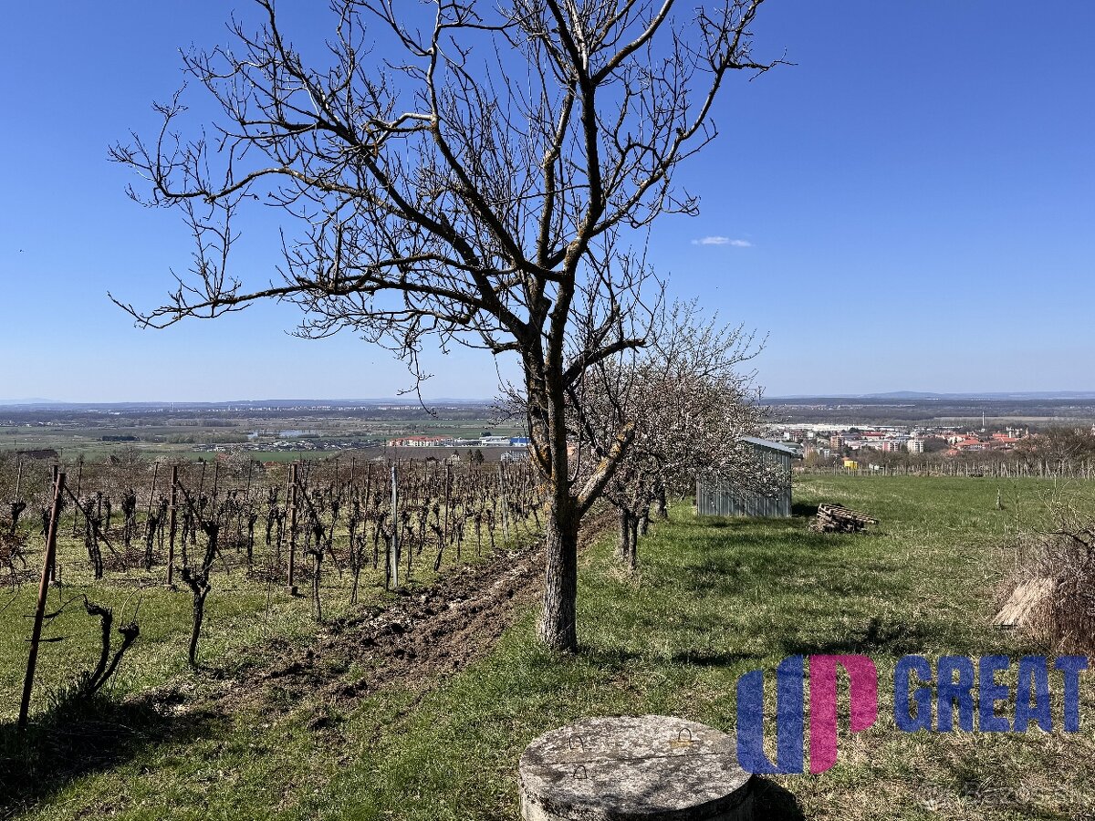 Pozemok s nádherným výhľadom na Skalicu–vinohrad so sklepom - 14