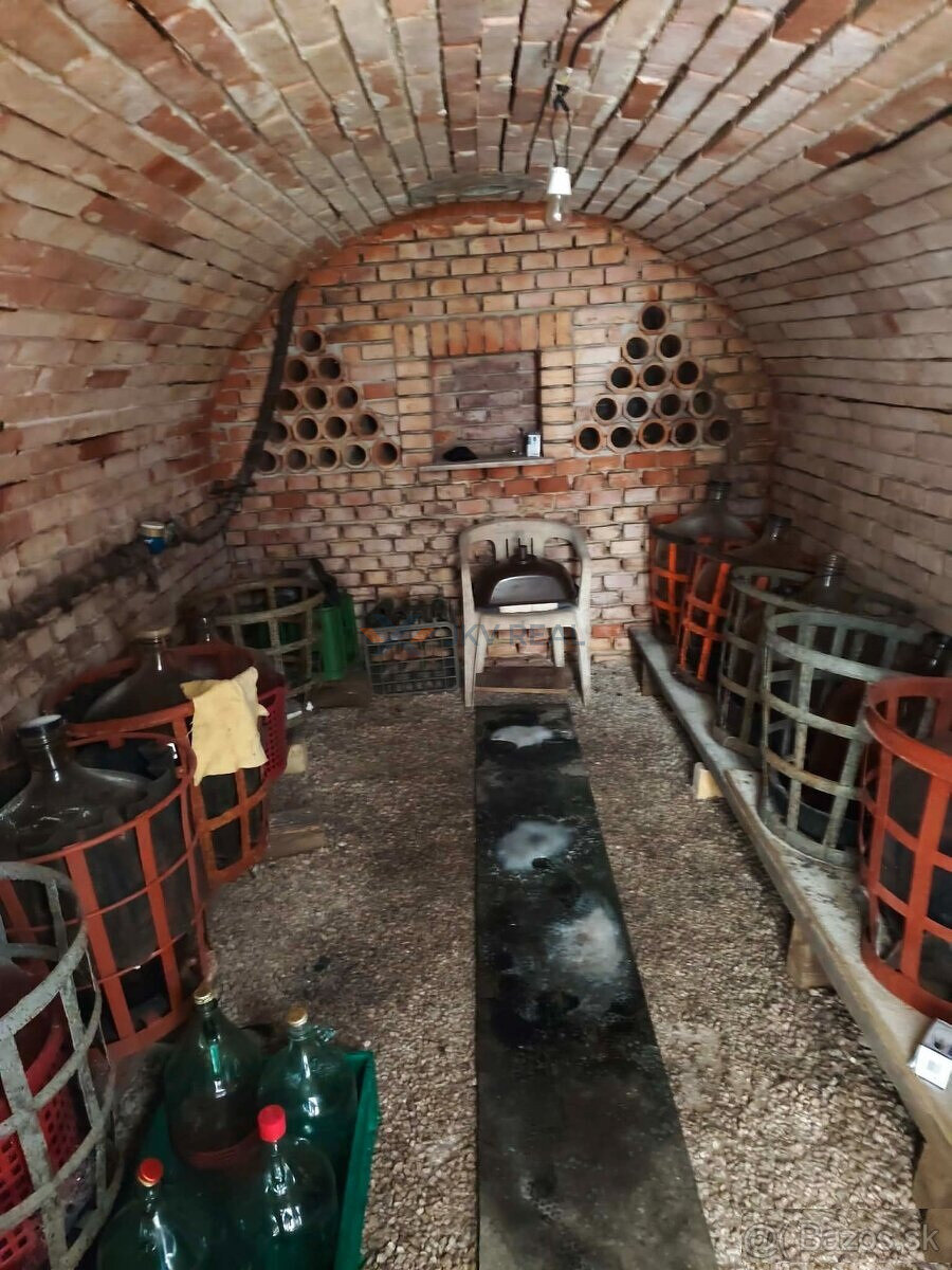 Viničný dom v Leviciach - 14