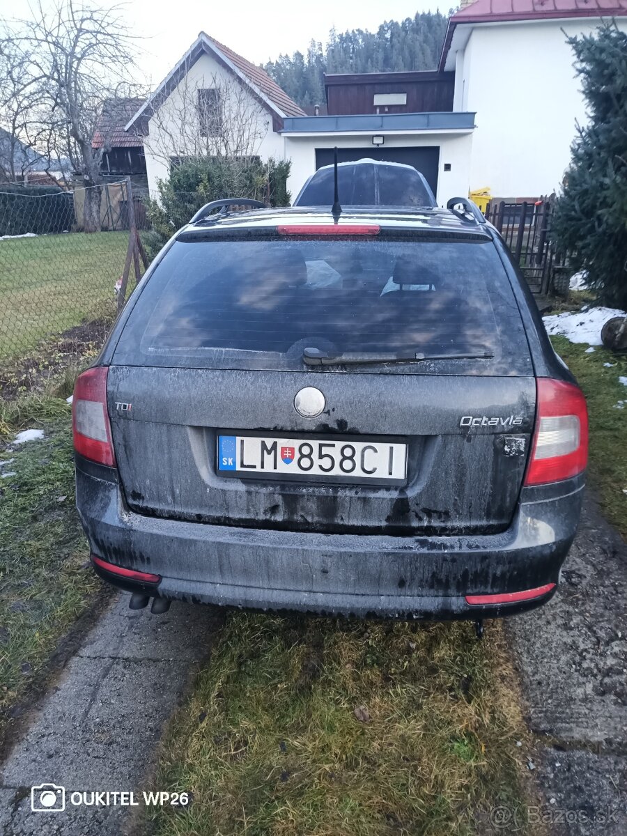 Octavia - 14