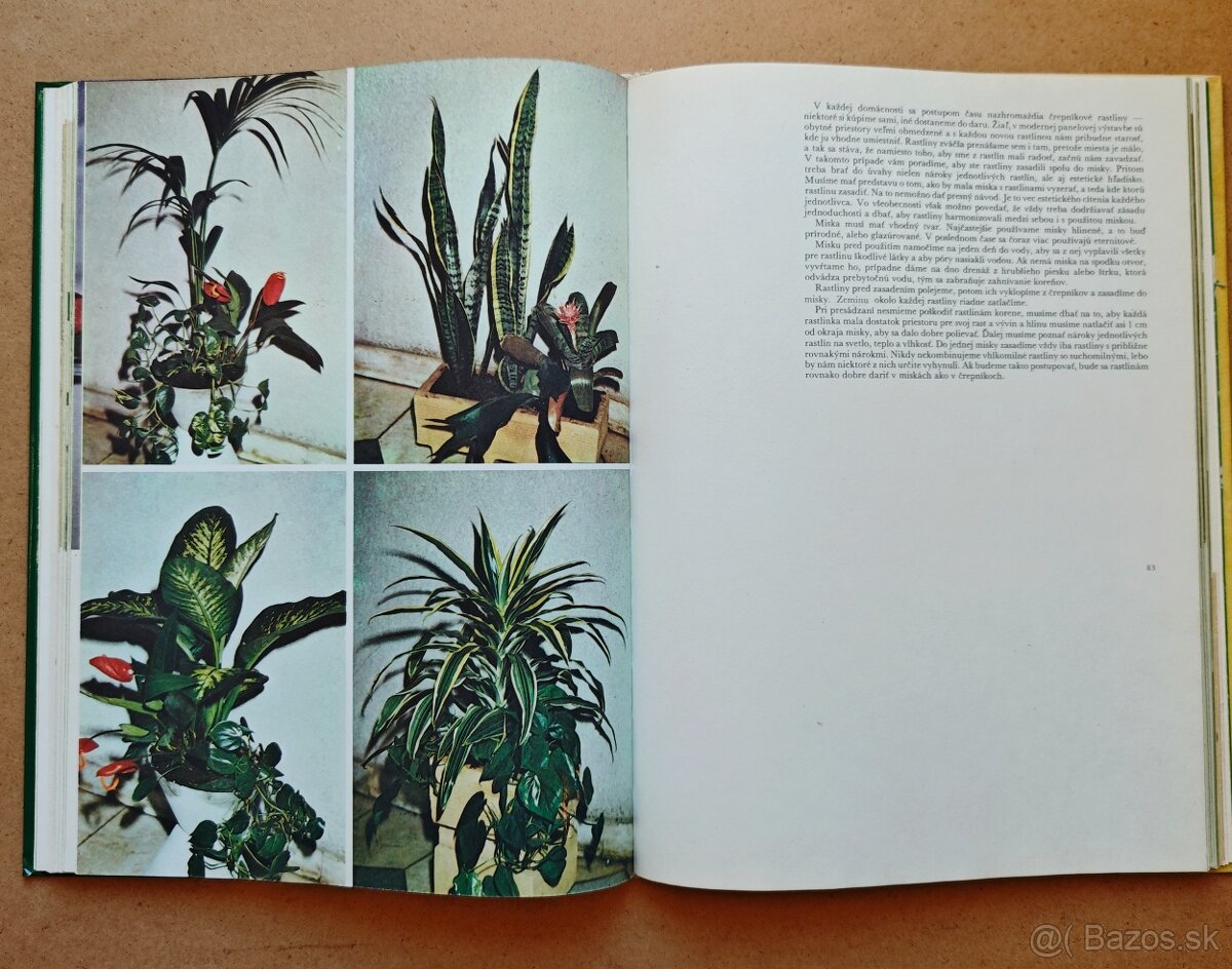 PESTOVANIE KVETOV - 2 knihy - 14