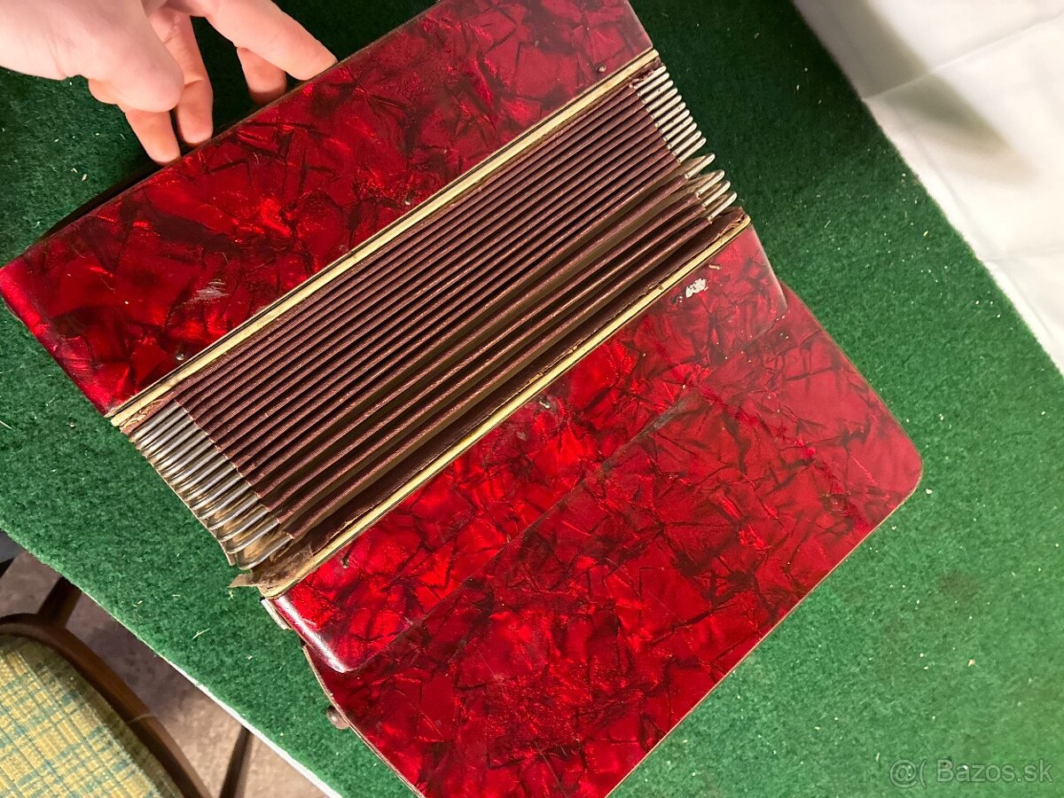 Harmonika Weltmeister - 14