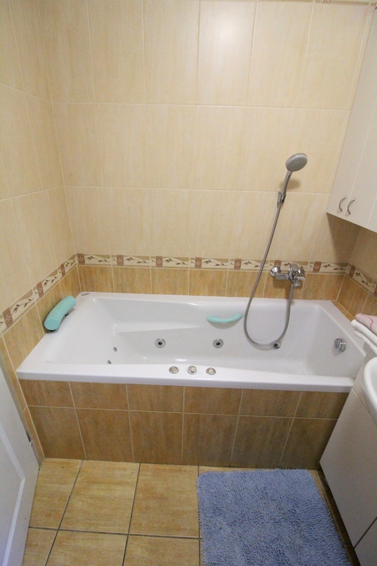 Rodinný dom so záhradou / 837 m2 / - Beluša - 14