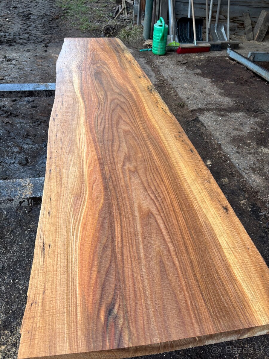 Rezivo Brest Brestove Fošne Kmene Drevo - 14