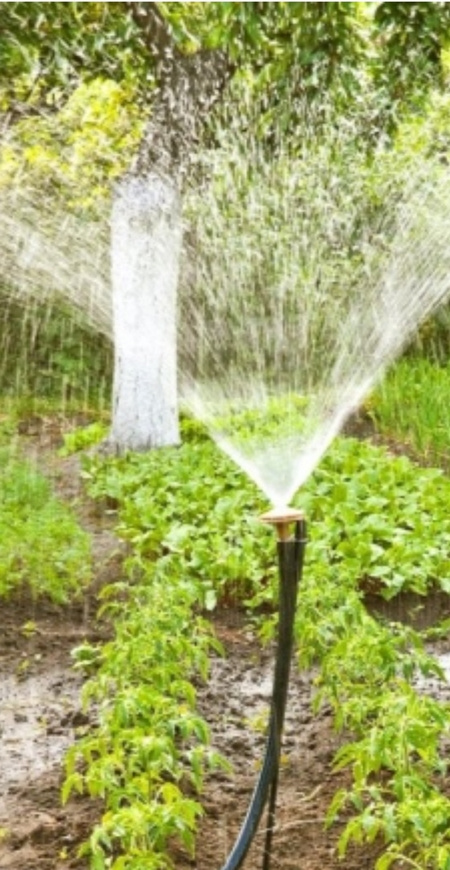 Realizácia remeselných prác v stavebníctve - 14