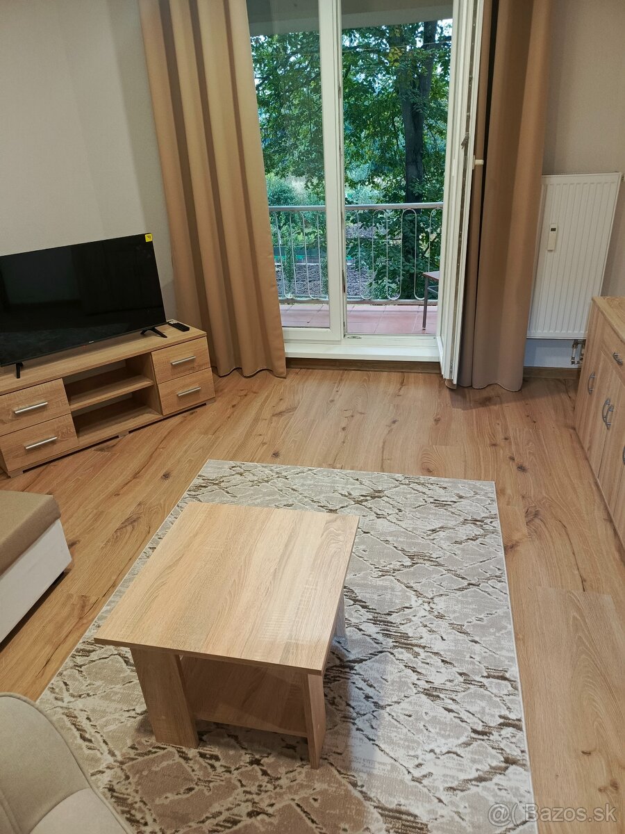 1 iz.byt na prenajom - 14