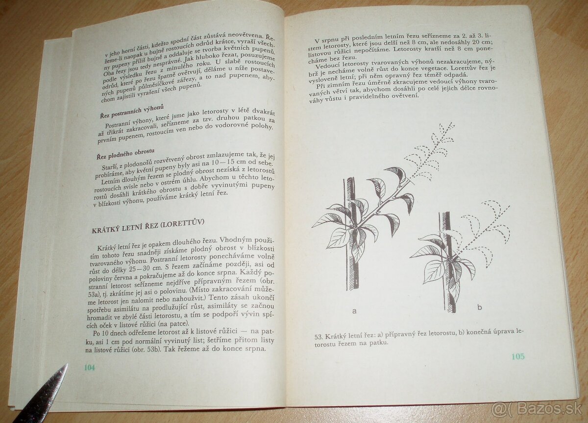 ez ovoných dřevin - 14