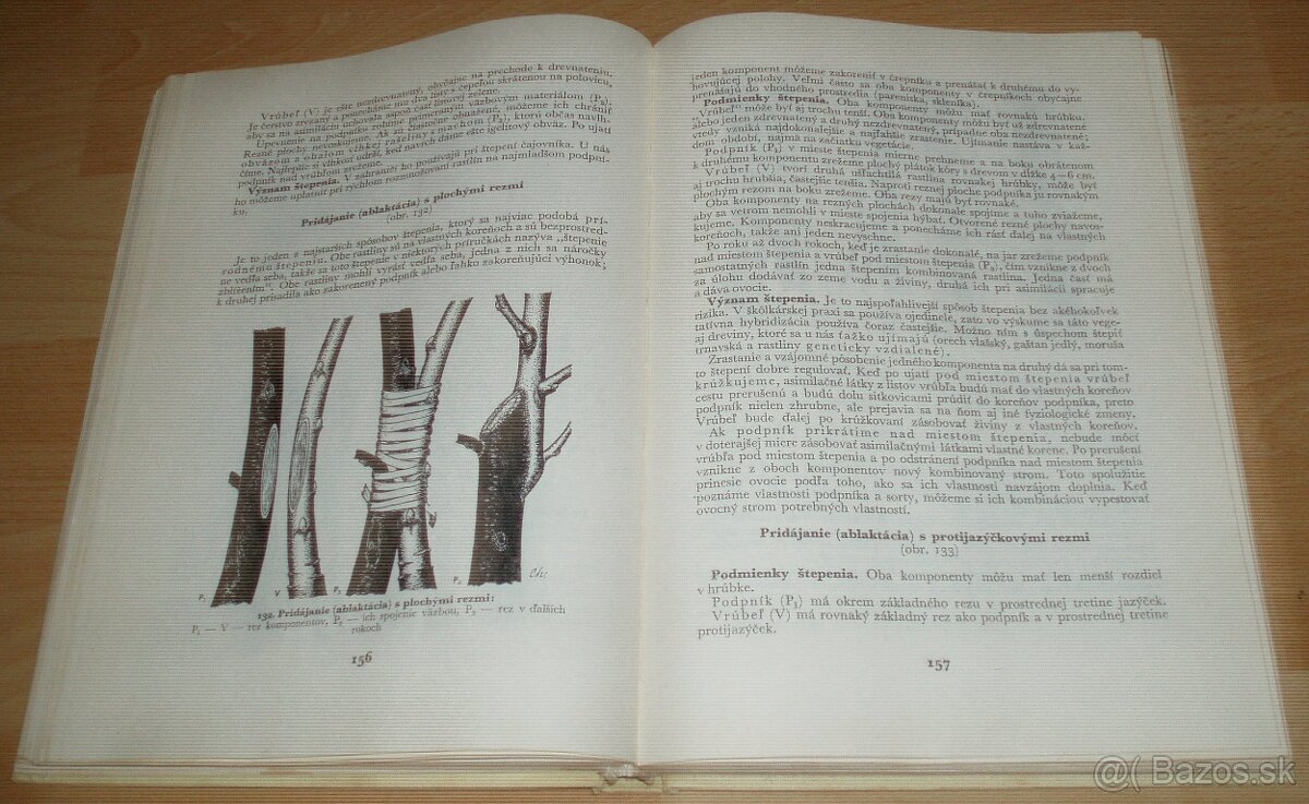 Štepenie, očkovanie a preštepovanie drevín - 14