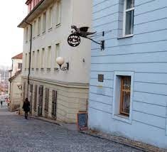 PREDÁM KRÁSNY NEBYTOVÝ PRIESTOR POD HRADOM V BRATISLAVE - 14