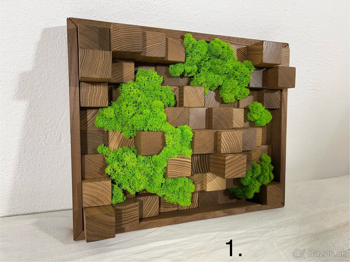 Machové obrazy - akustické difúzory - 14