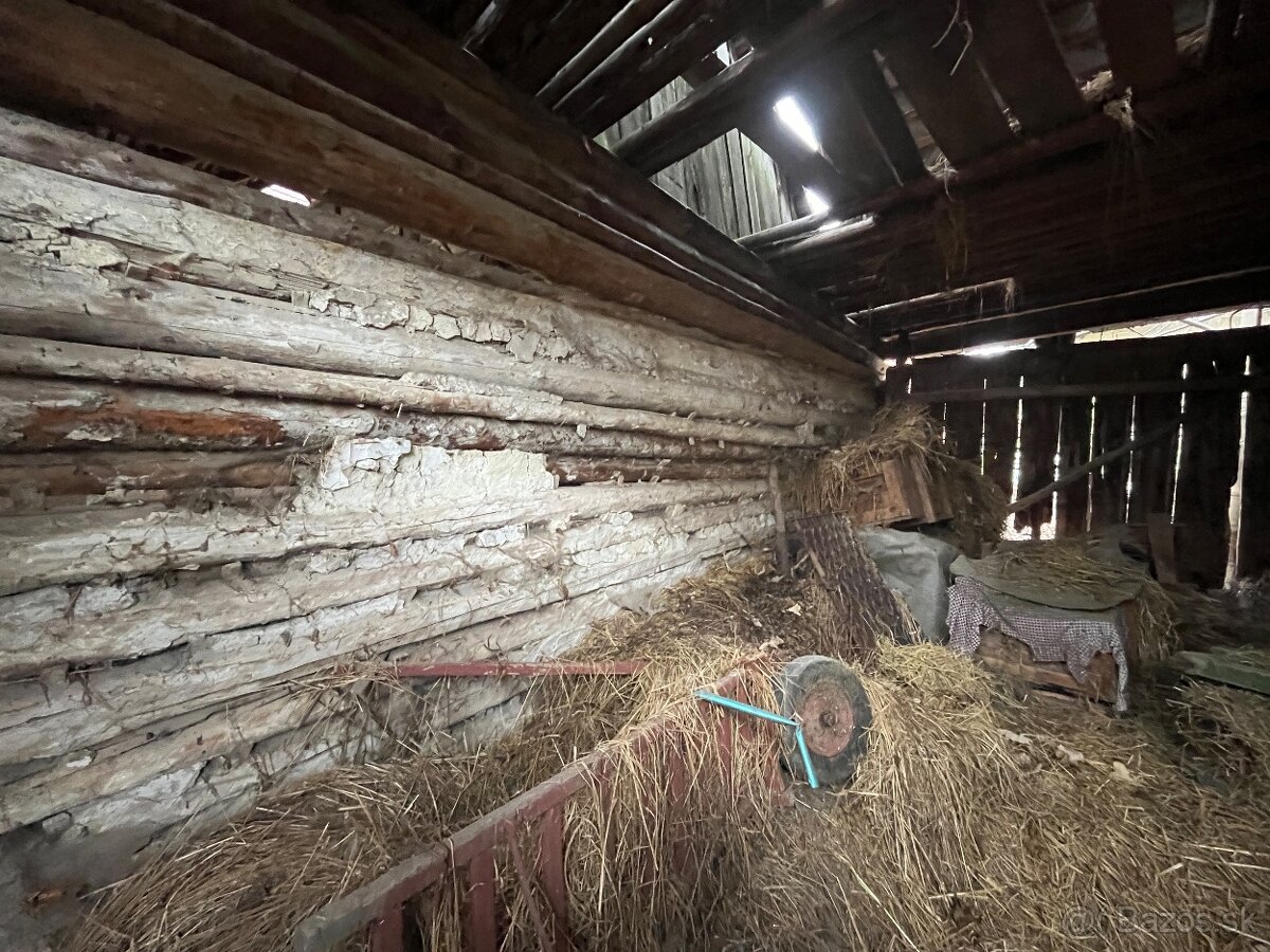 Stare drevo na predaj - 14