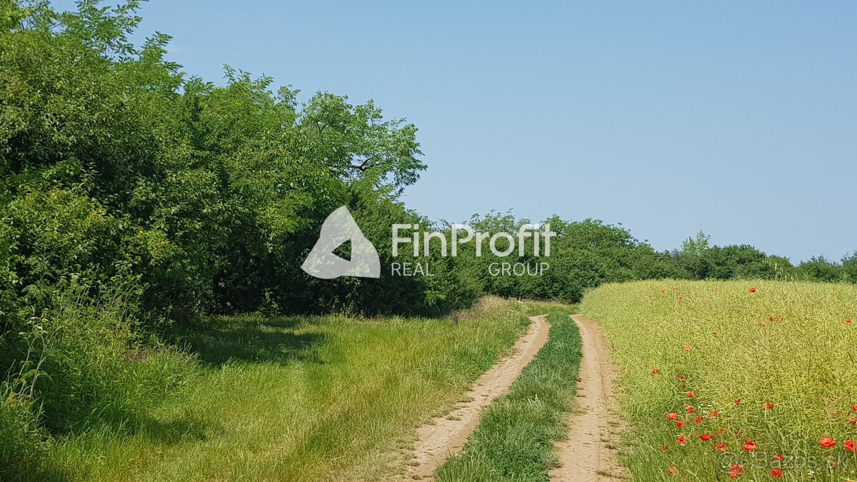 Predám dva vinohradnícke domy s pozemkami medzi vinohradmi p - 14