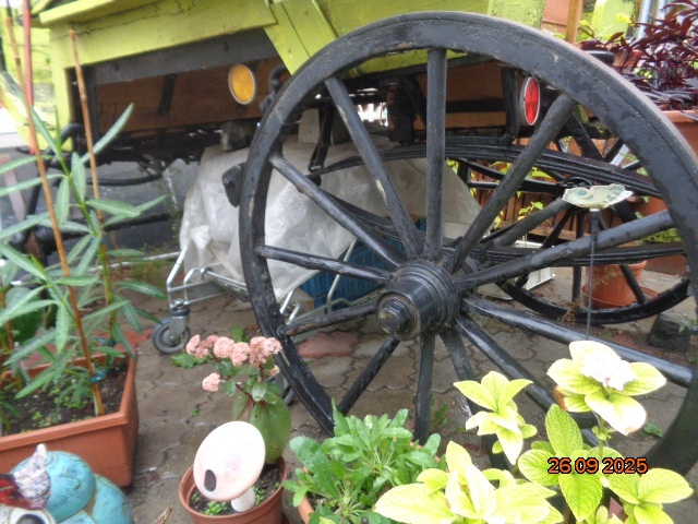 Brička-stojan na kvety - 14