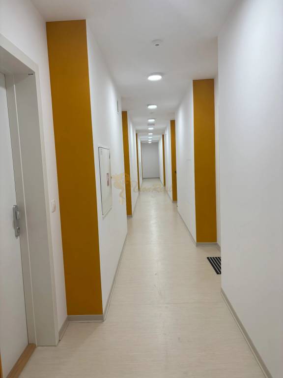 2-izb. byt, Bystrická ul., Devínska Nová Ves, pivnica, park. - 14