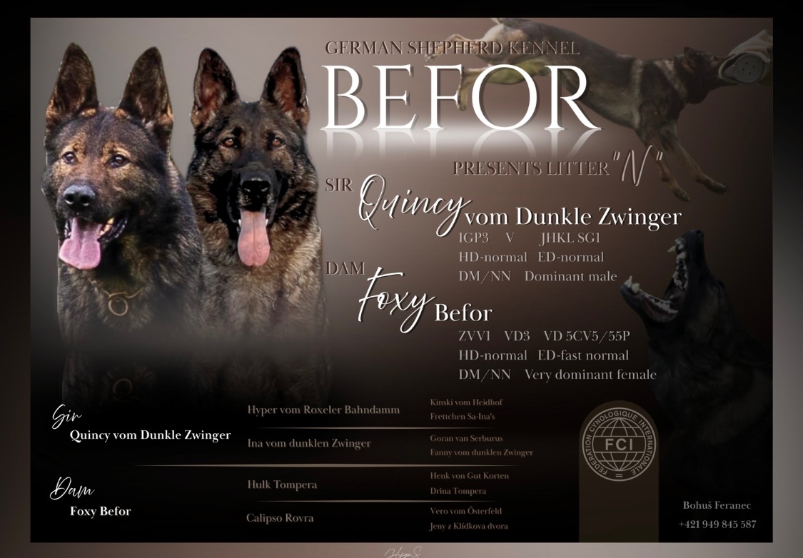 Nemecký ovčiak s PP - 14