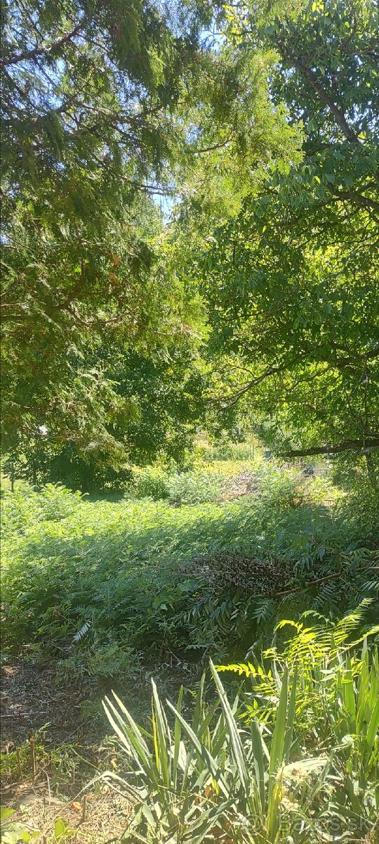 Chata vo vinárskej oblasti - 14