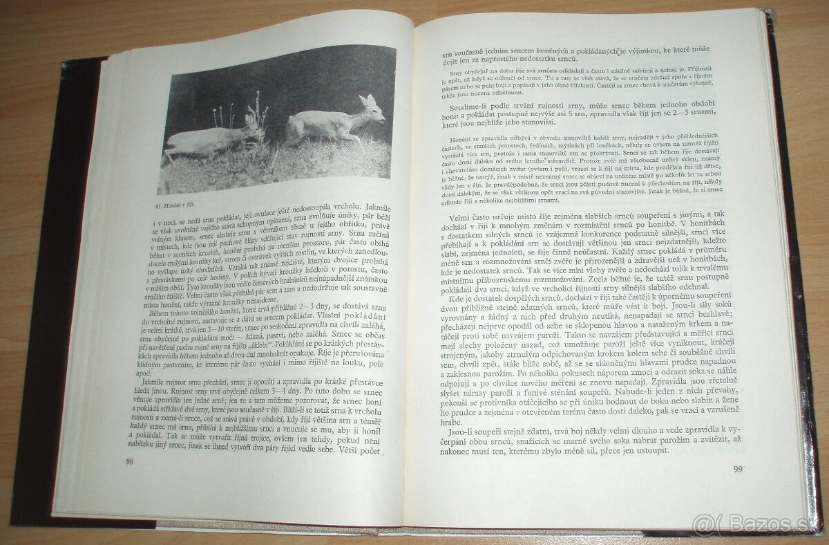 Srnčí zvěř - 14