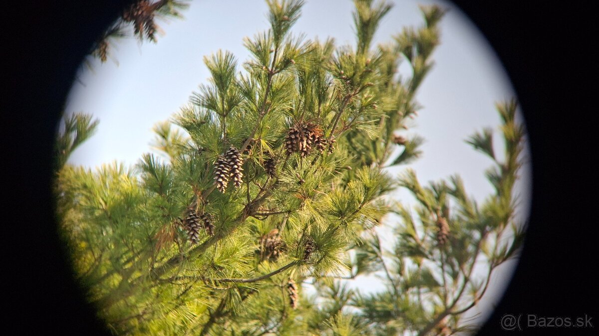 Ďalekohľad BPC 15X50 SOTEM - 14