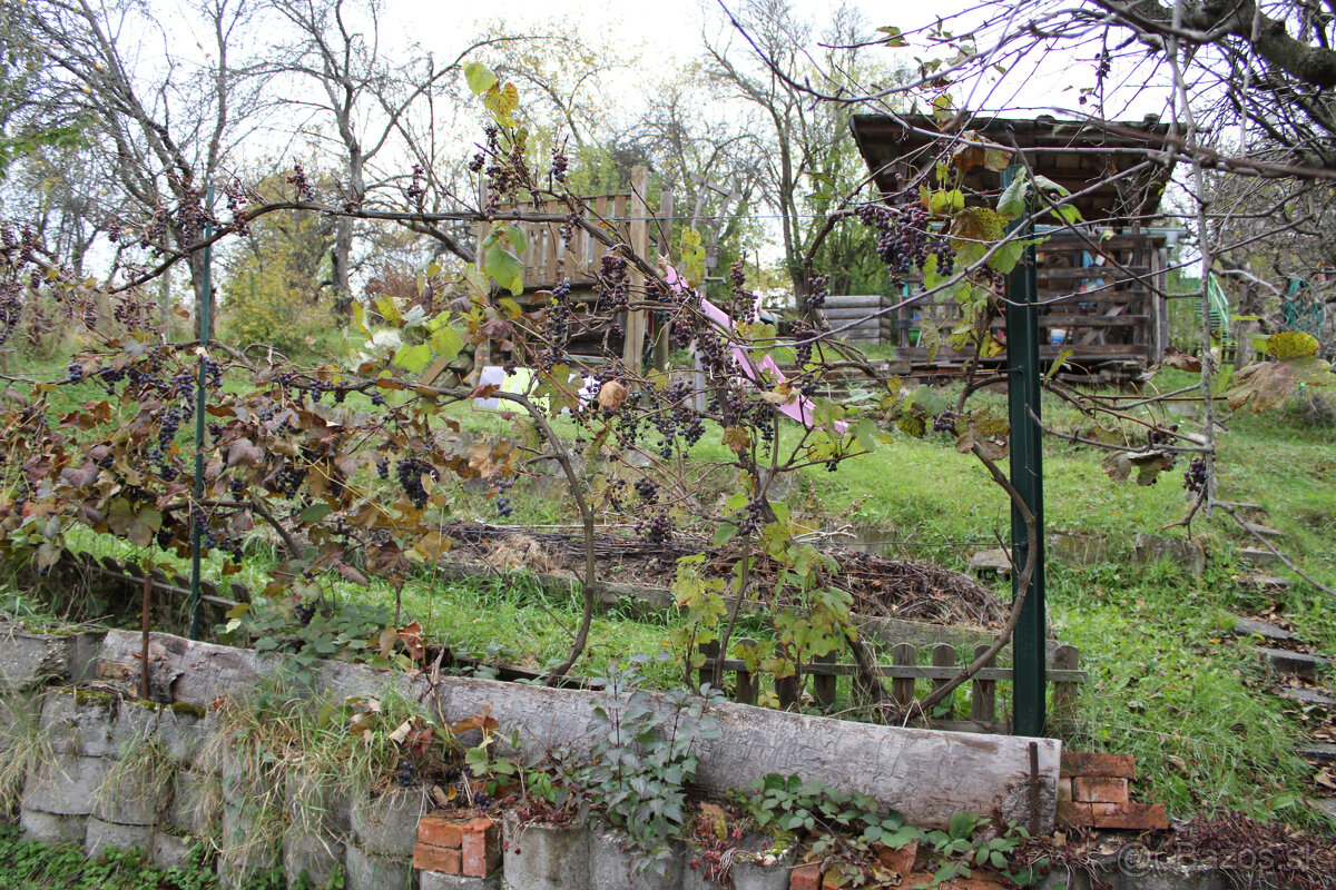 SPEKTRUM REALITY- Na Predaj záhrada 312 m2,, záhradkárska os - 14