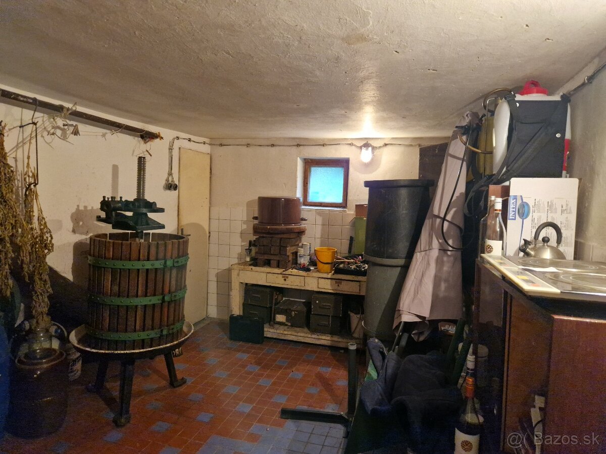 5-IZBOVÝ ROD. DOM A VÝNIMOČNÝ POZEM., NEŠTICH,TOP LOKALITA - 14