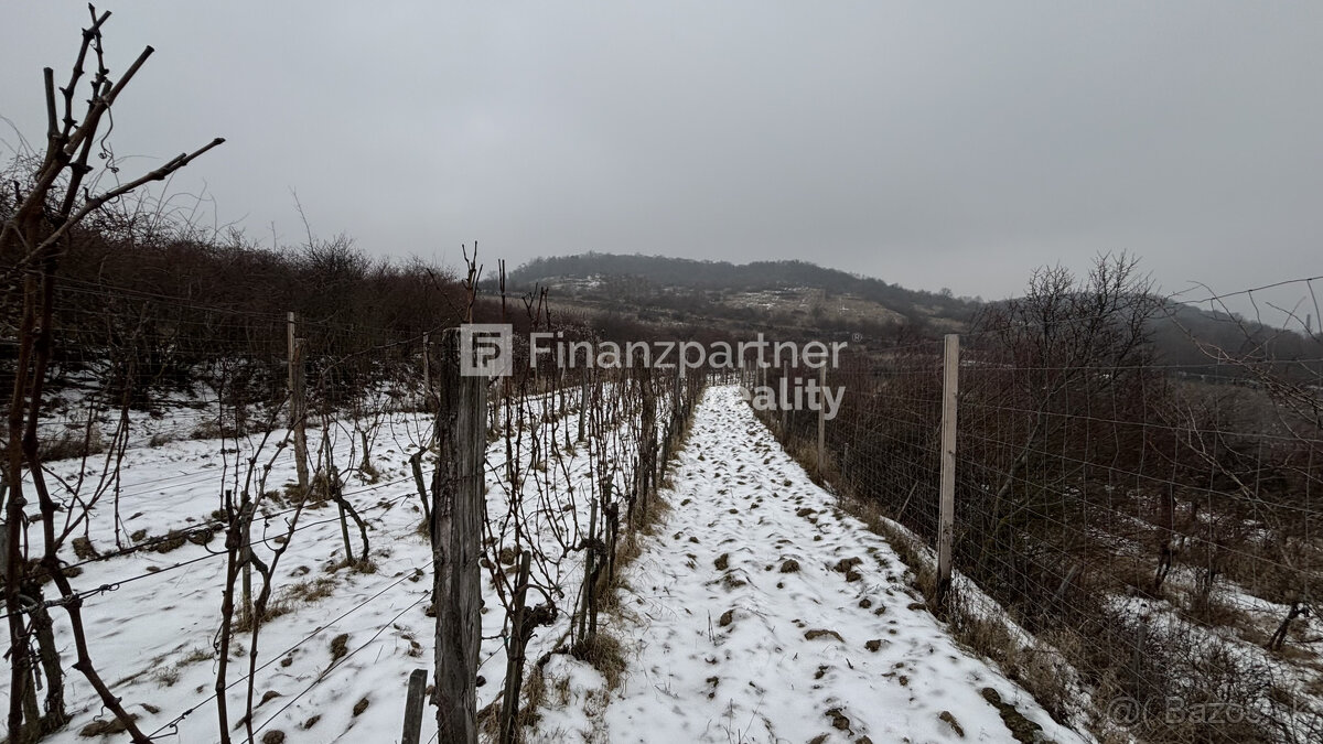 REZERVOVANÉ - Vinohrad 1862 m², v meste Pezinok + 3D - 14