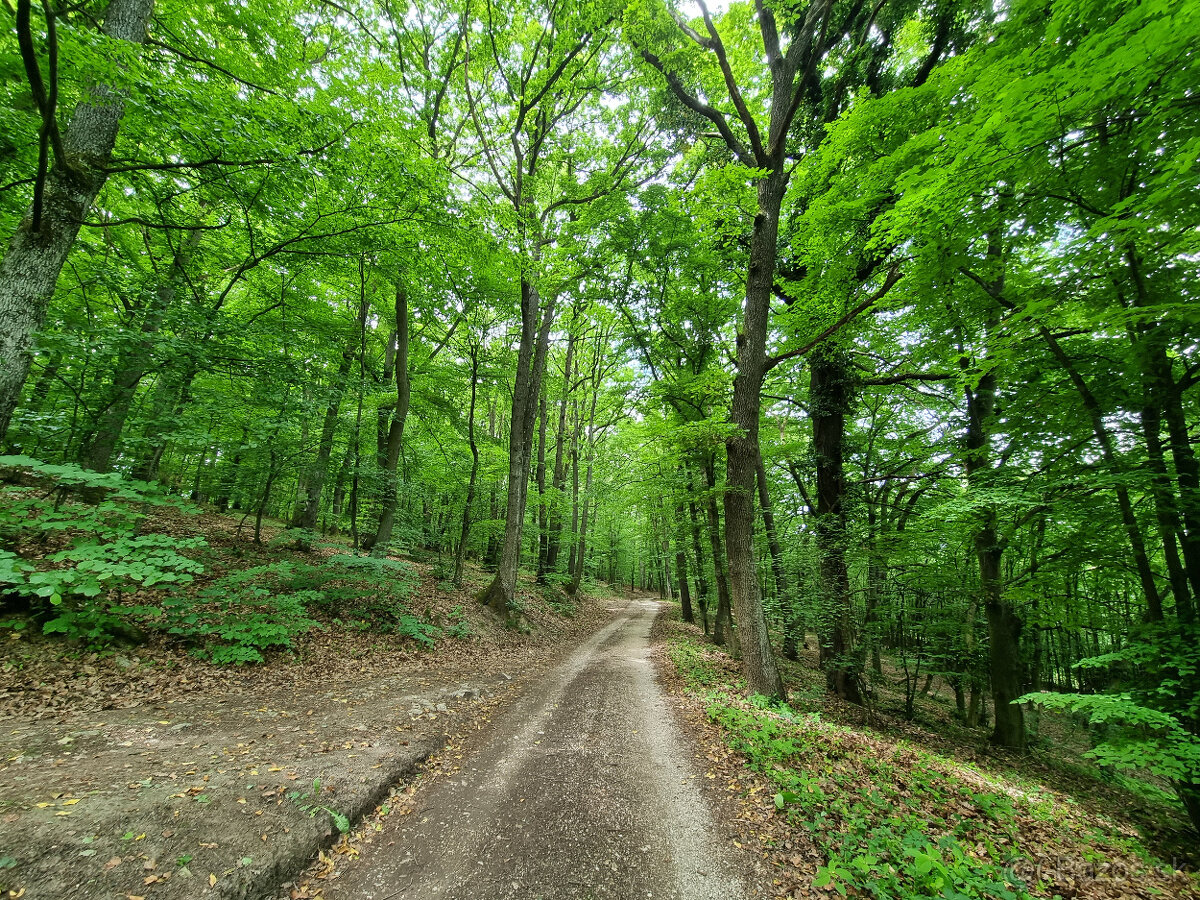 RD - CHALÚPKA a POZEMOK 1207m2 PRI LESÍKU KRAJNÉ -KOPANICE - 14