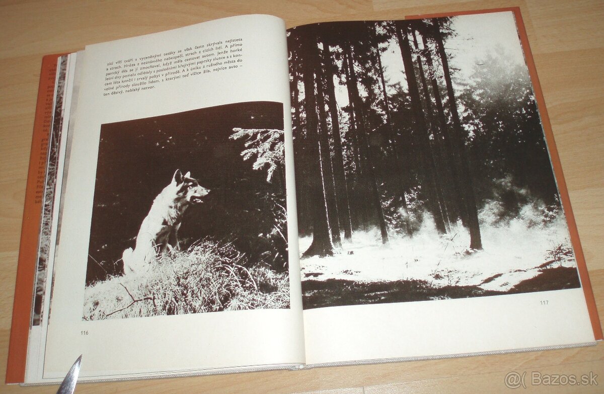 Osamělá vlčice - 14