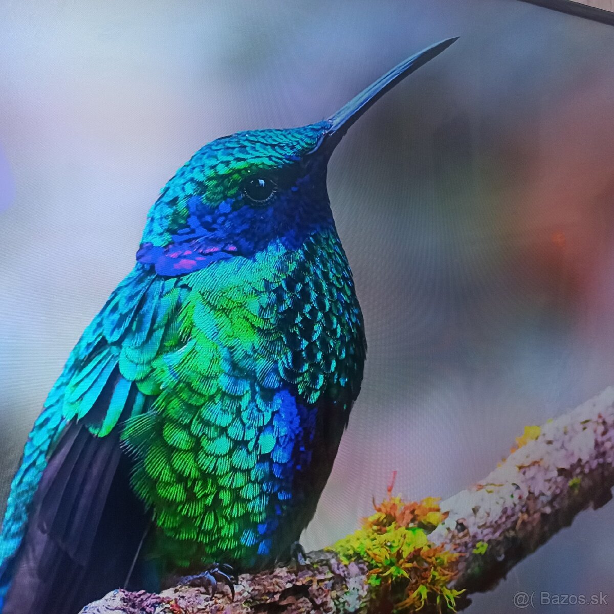 Samsung Led,LCD smart tv 4k 49(123cm) - 14