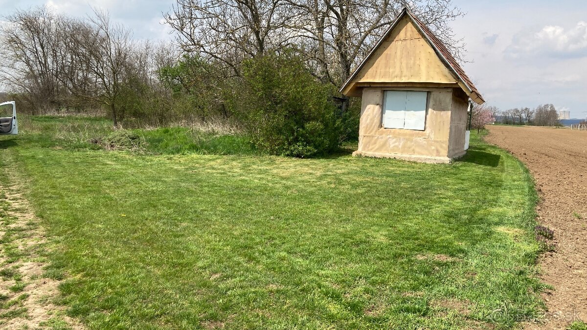 Predám pozemok vo vinicnej časti - 14