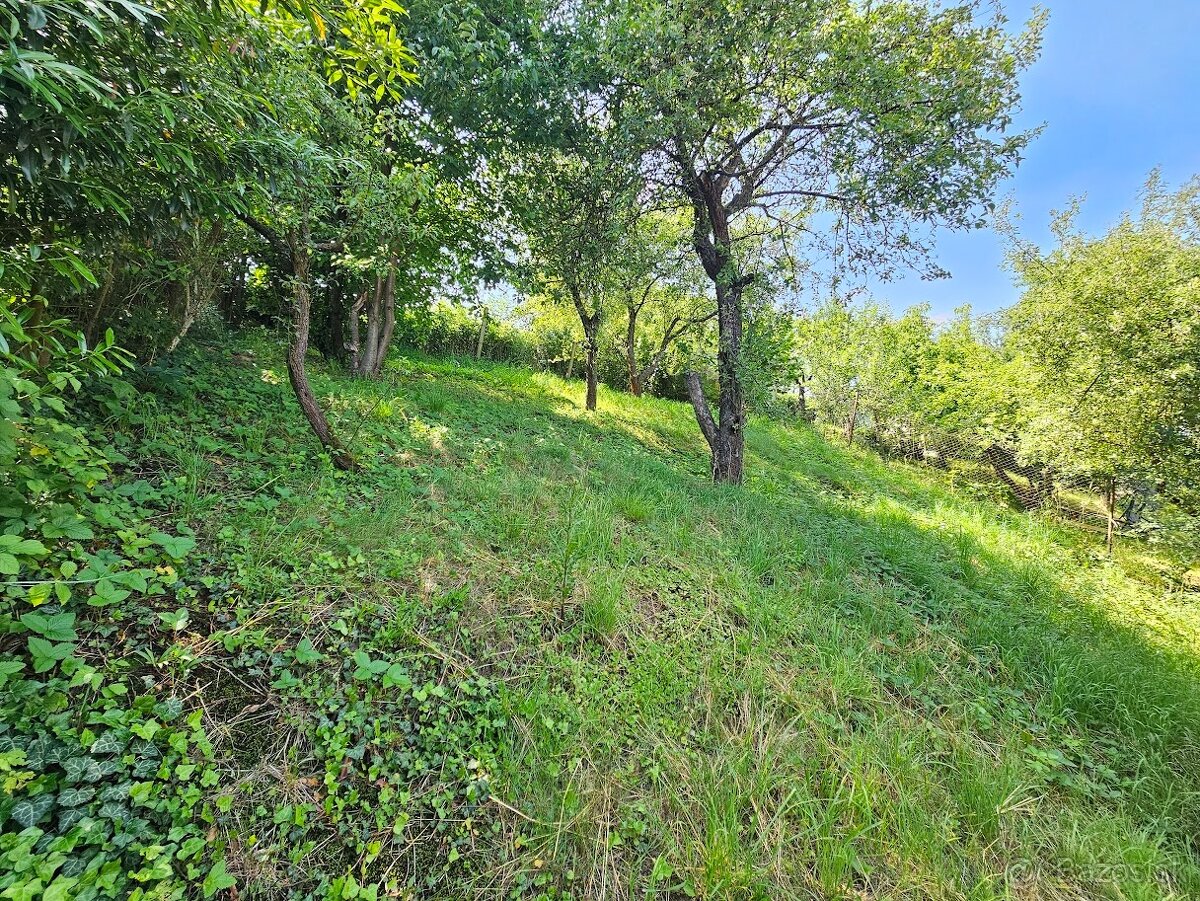 ZNÍŽENA CENA - murovaná chata Vyšný Olčvár v blízkosti lesa - 14