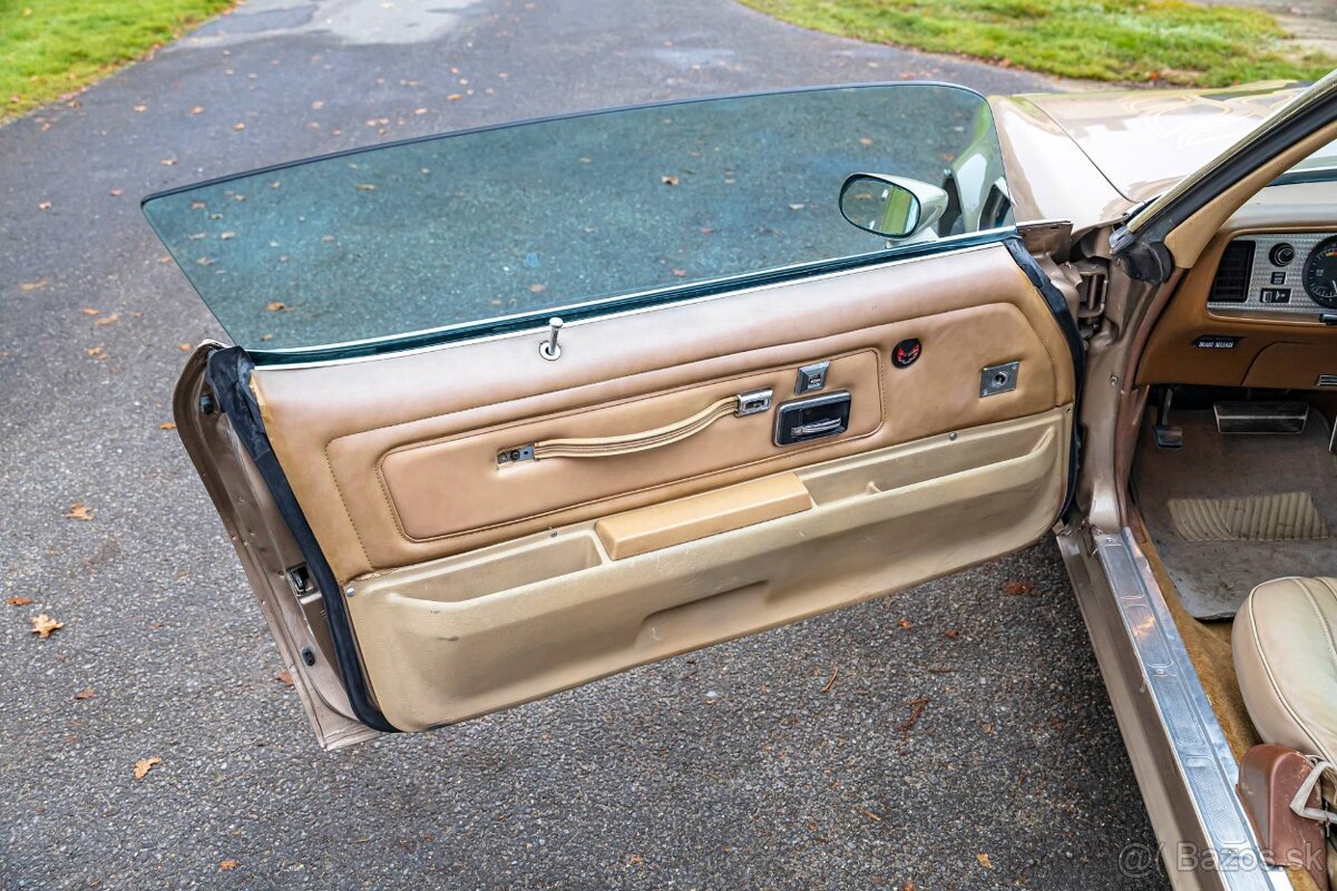 Pontiac Firebird Trans-Am 1977 - 14