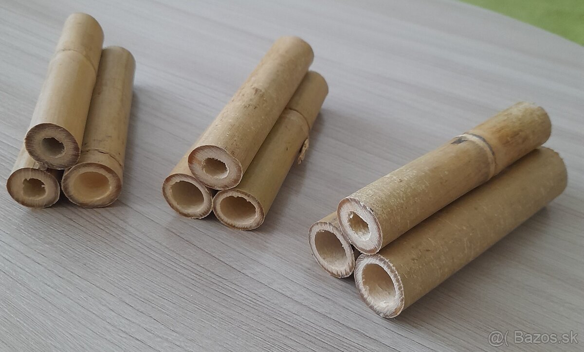 Krevetky,ryby,slimáky - 14