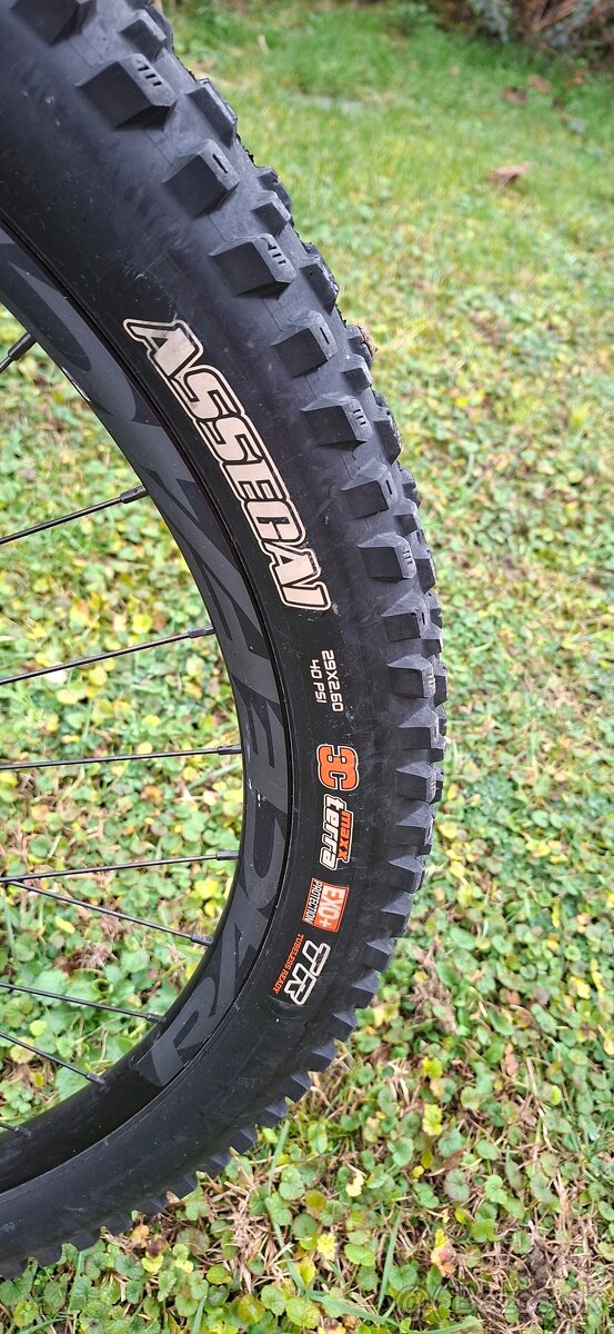 Predam Orbea Wild 2024 L - 14