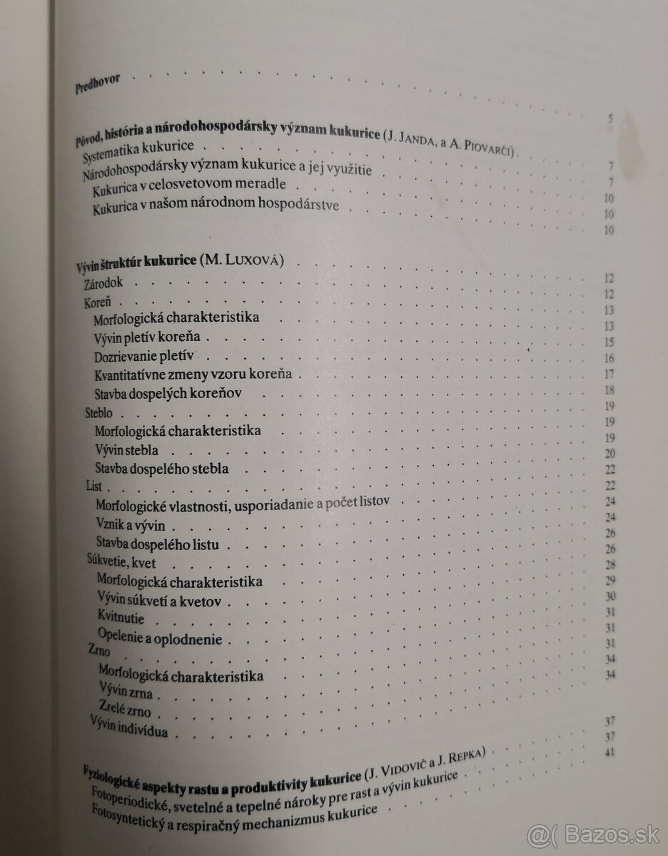 Kukurica - 14