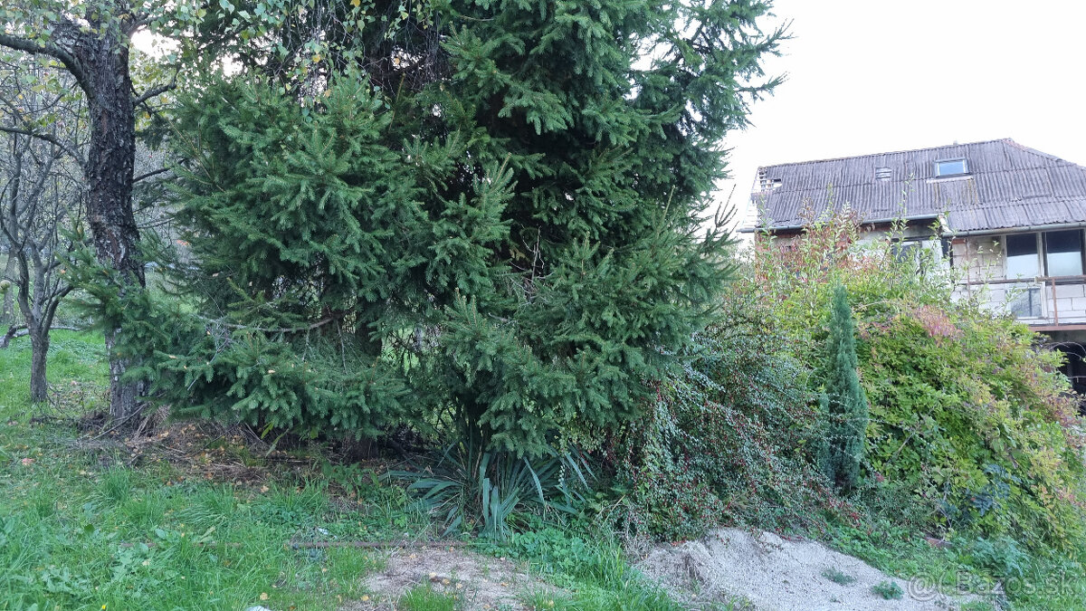 ROZOSTAVANÝ DOMČEK a POZEMOK 612m2 MYJAVSKÉ KOPANICE - 14