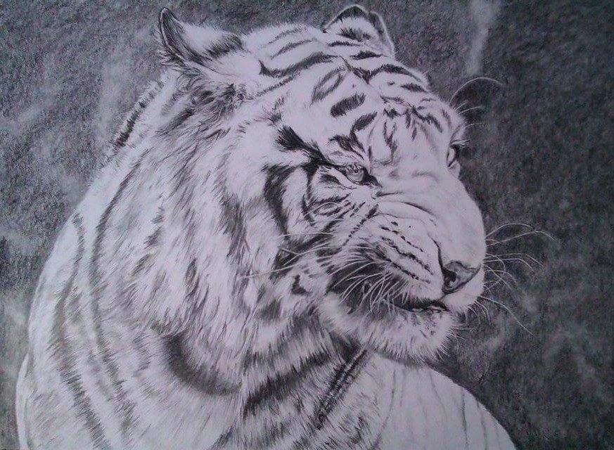 Kreslenie portrétov - 14