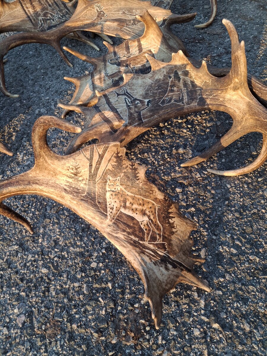 Parohy,zhody,trofeje - 14