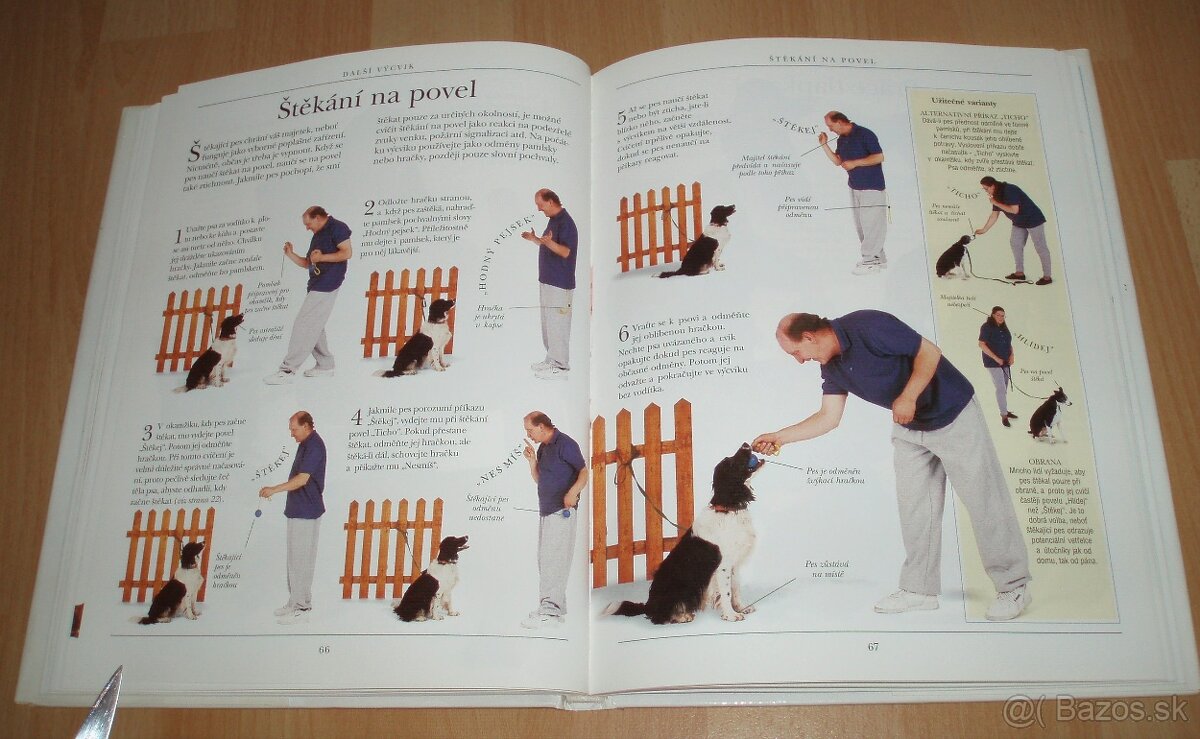 Výchova a výcvik psa - 14