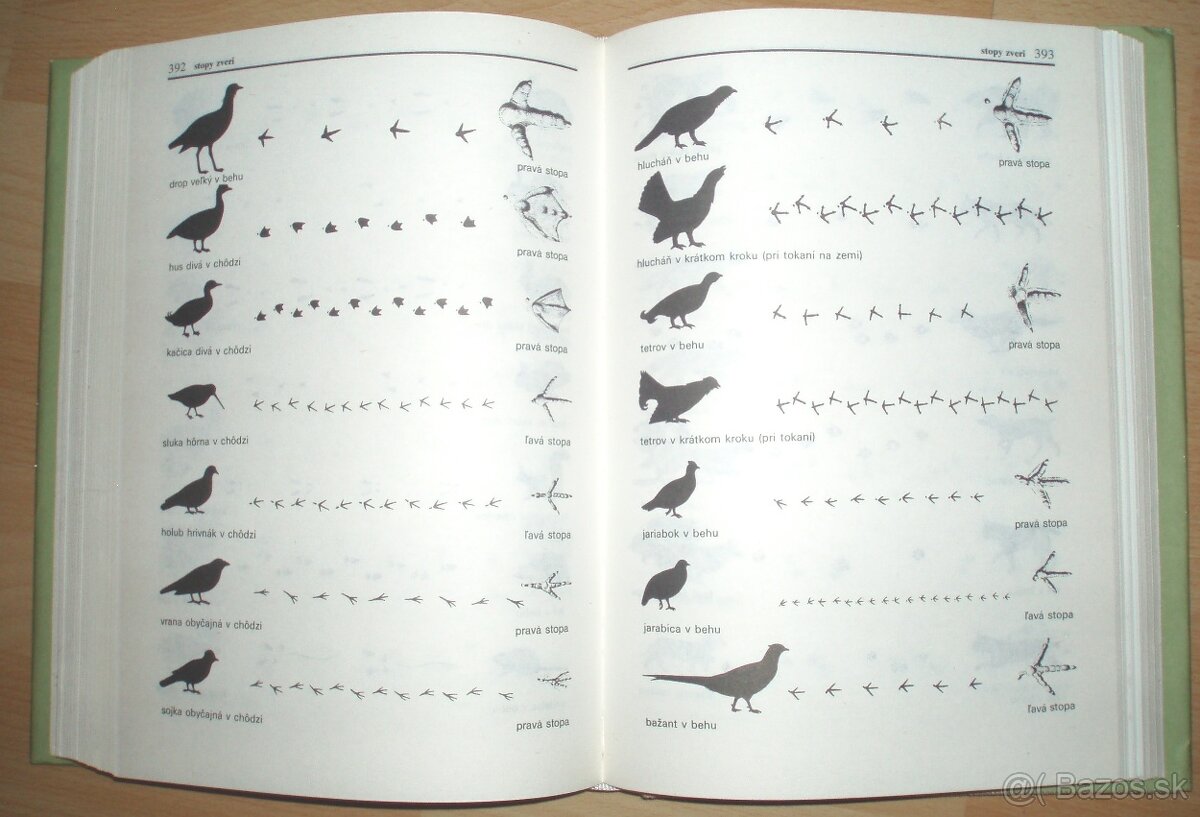 Poľovnícky náučný slovník - 14