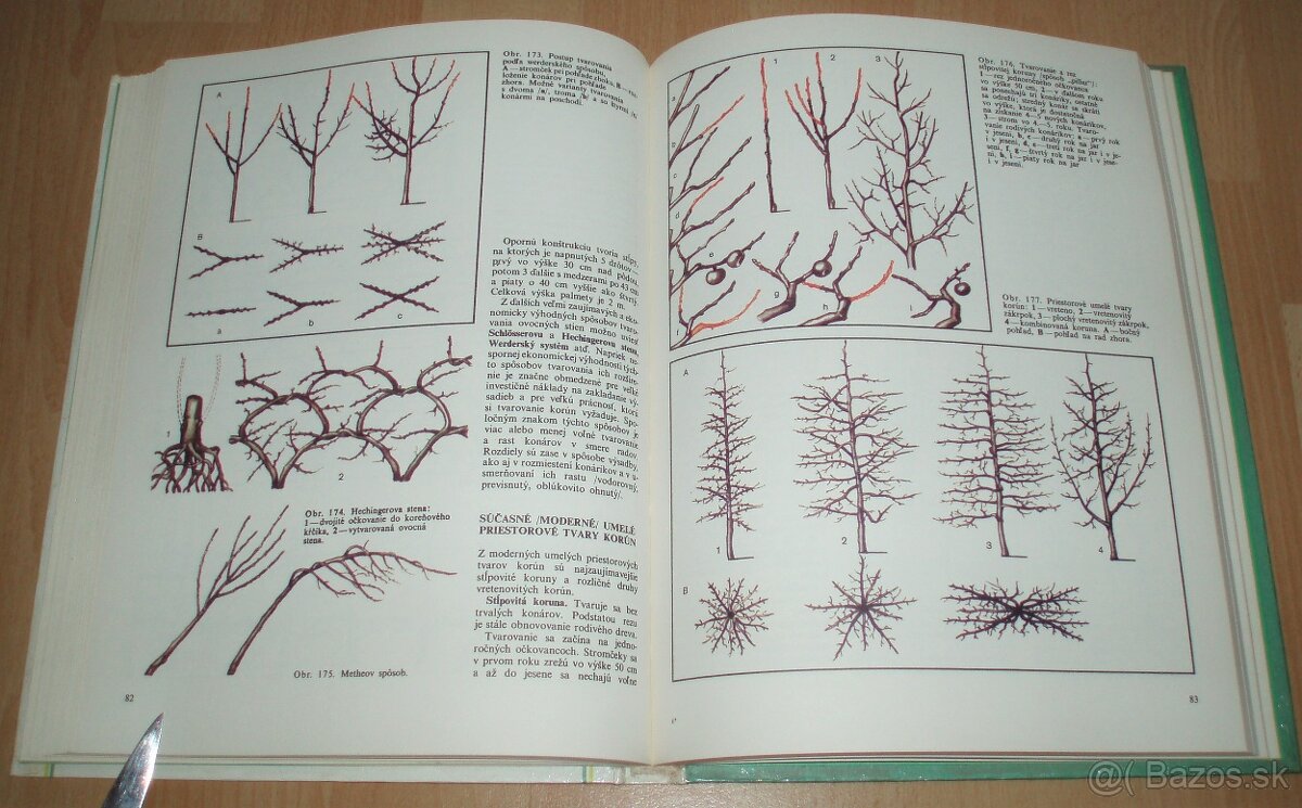 Tvarovanie a rez ovocných drevín - 14