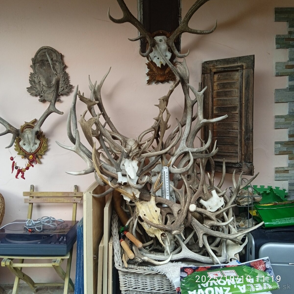 Trofeje a,parozie - 14