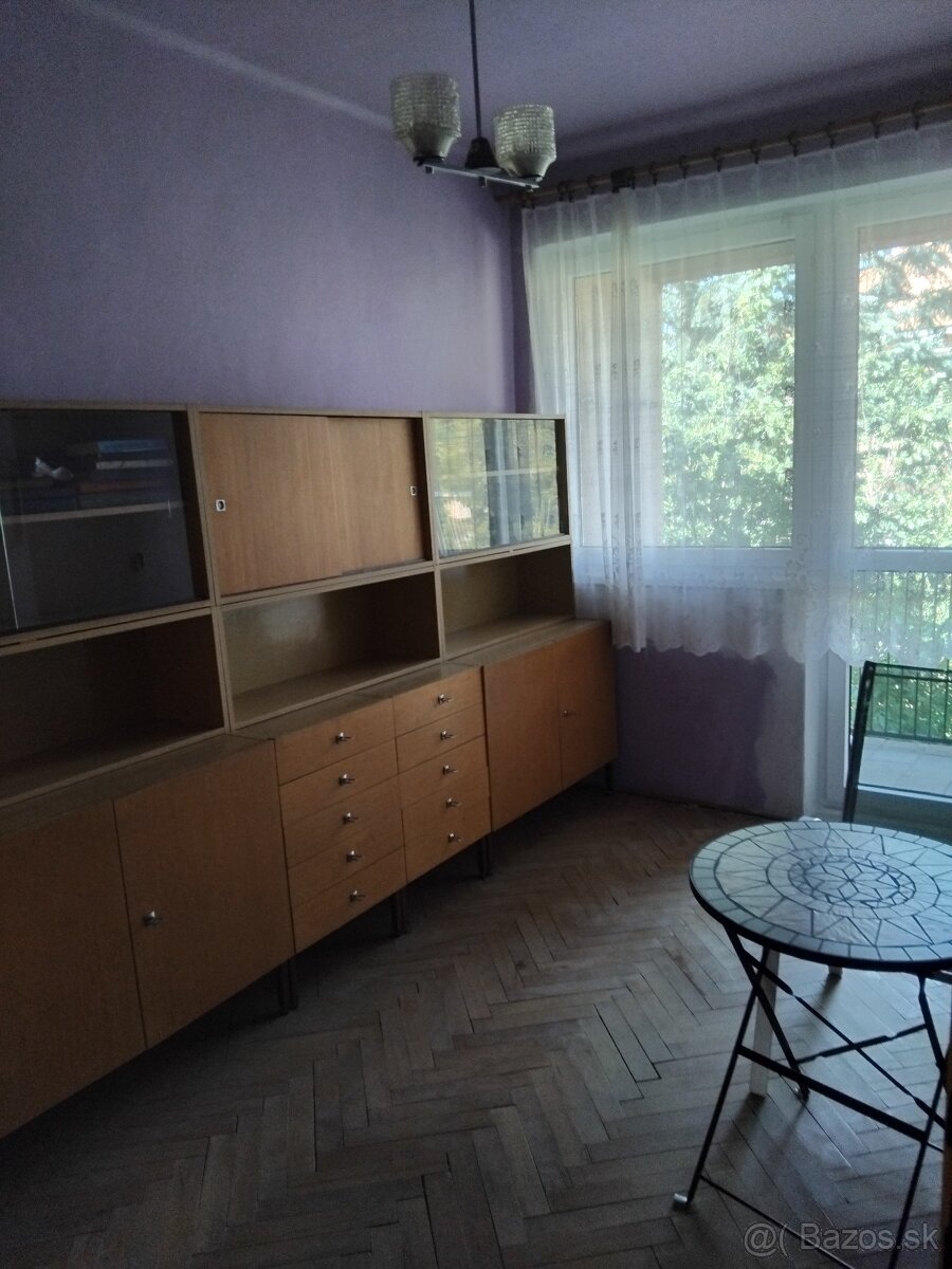 Predaj 4-izbový byt+ murovaná garáž Pliešovce - 14