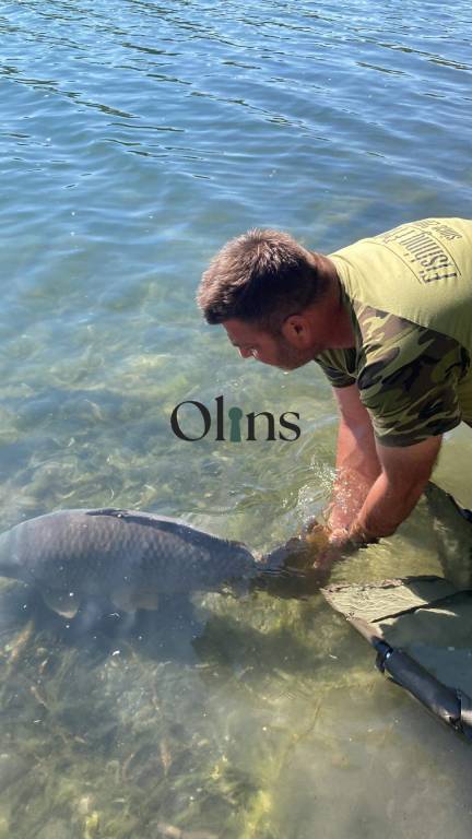 NA PREDAJ STAVEBNÝ POZEMOK V POHRANIČNEJ LOKALITE ČESKA A RA - 14