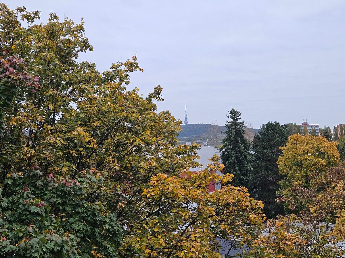 Predaj 3-izbový byt v tichej lokalite, Dubravka - 14