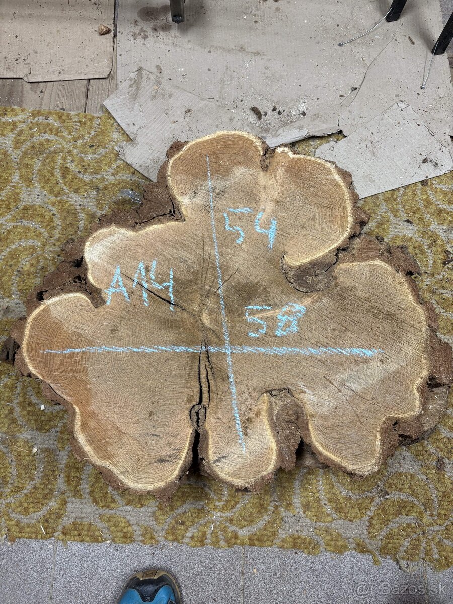 Vysušené agátové koláče / priečne rezy, agát - 14